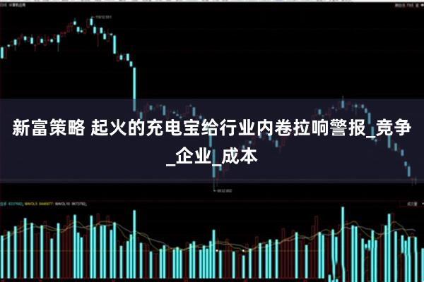 新富策略 起火的充电宝给行业内卷拉响警报_竞争_企业_成本