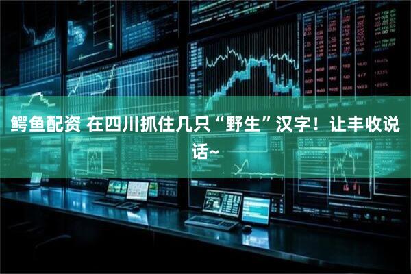 鳄鱼配资 在四川抓住几只“野生”汉字！让丰收说话~