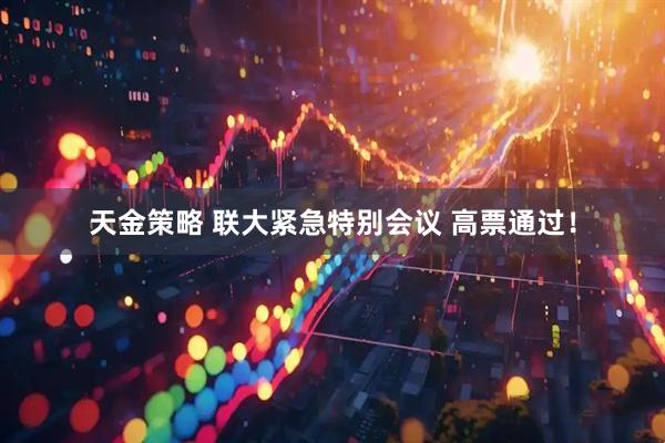 天金策略 联大紧急特别会议 高票通过！
