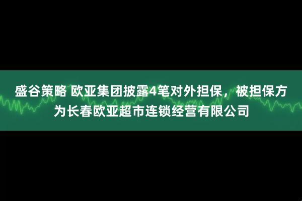 盛谷策略 欧亚集团披露4笔对外担保，被担保方为长春欧亚超市连锁经营有限公司